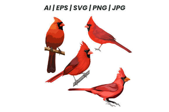 Download Cardinal Bird Bundle - Card Collection