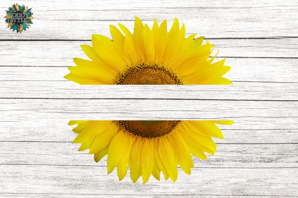 Download Split Sunflower Sublimation Transparent - Premium Resources