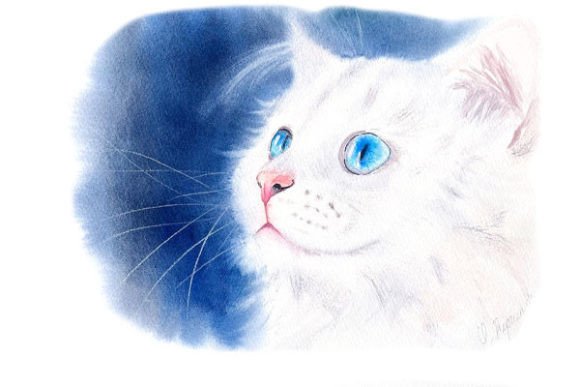 Download White Kitty Digital Prints PNG Files - Png files Collection