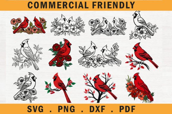 Download Christmas Floral Cardinal Bird Bundle - Card Collection